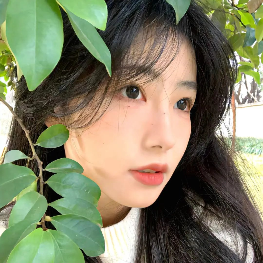 剧组的故事